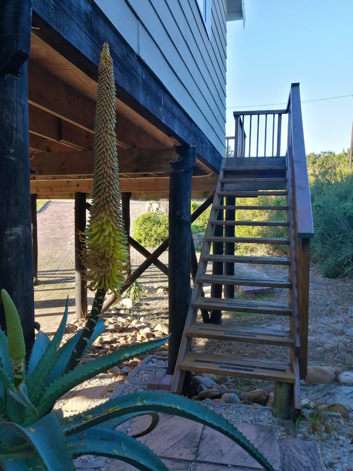 Jeffreys Bay Accommodation at Home Abalone | Viya