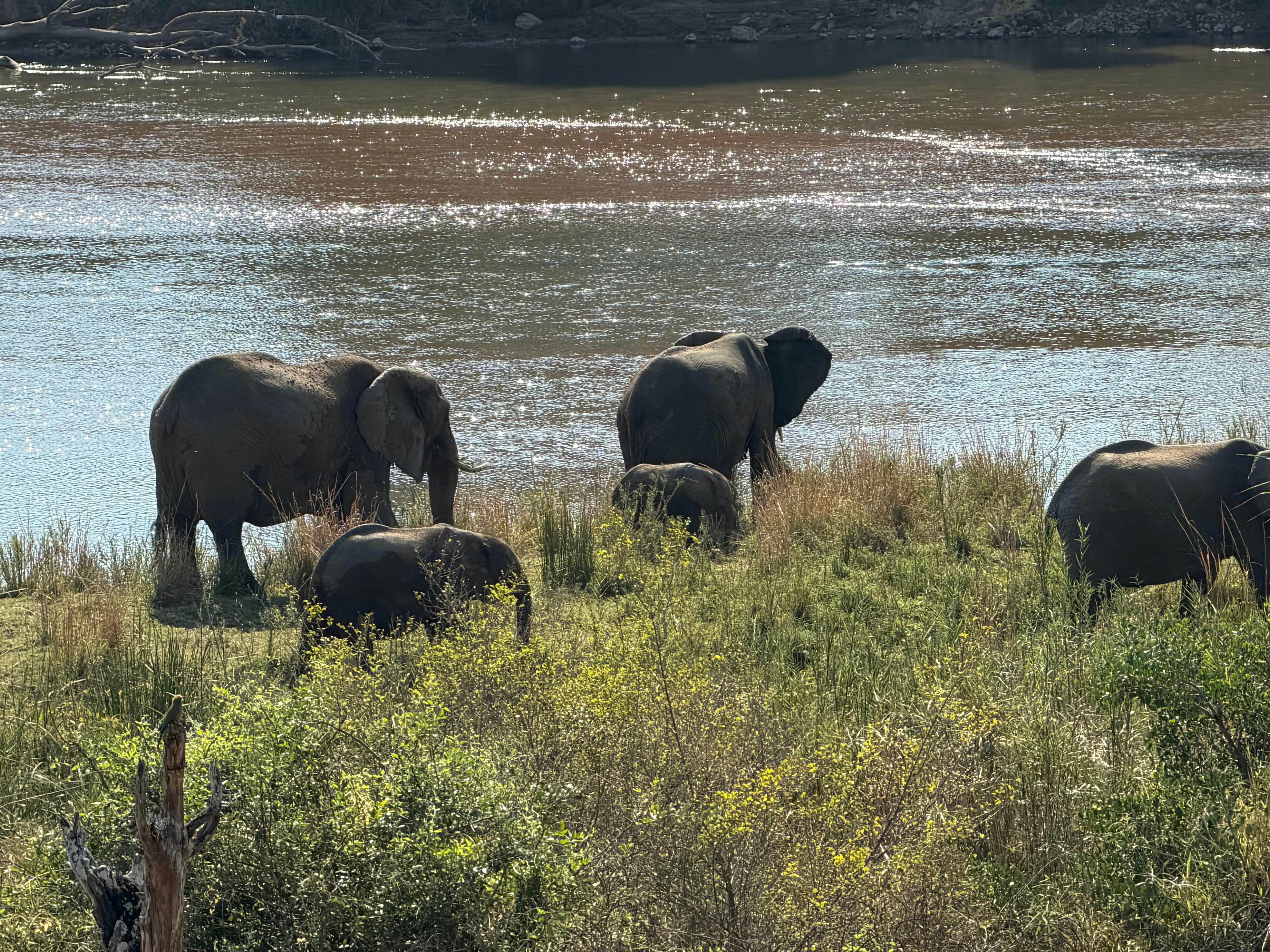 Kruger River and Rail Cottage image no 21 of 28