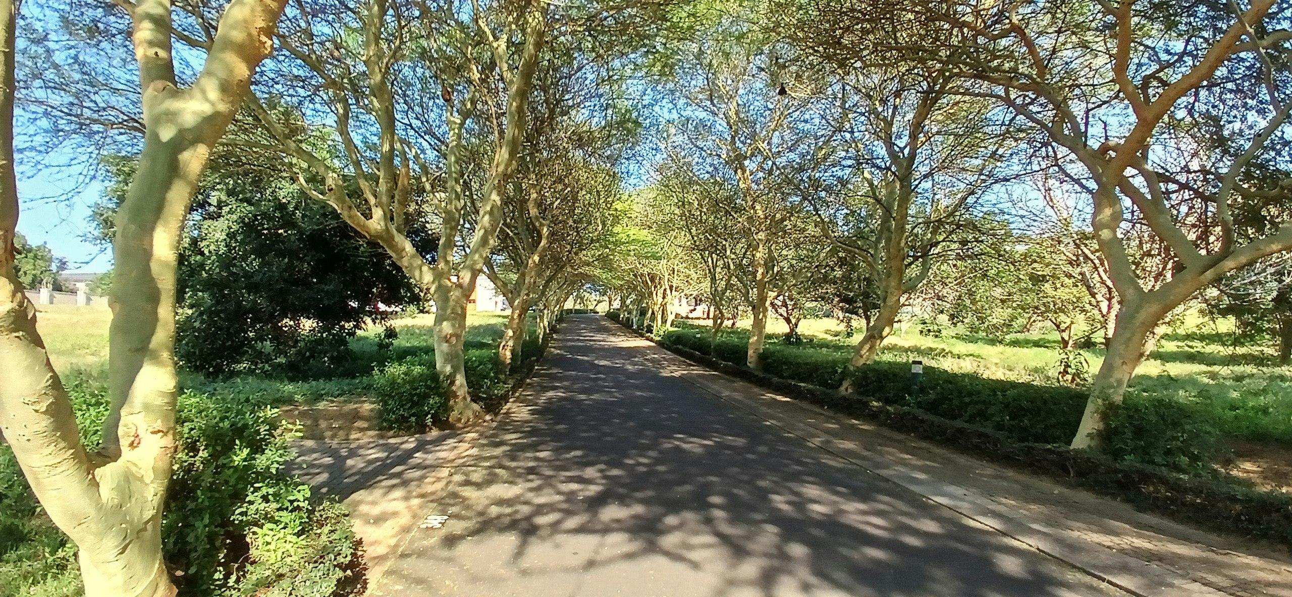A Peaceful Place image no 32 of 32