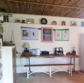 Western Cape Accommodation at Wild Rescue | Viya