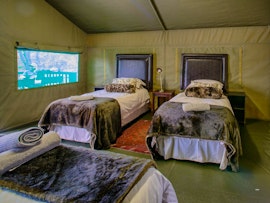 Limpopo Accommodation at  | Viya