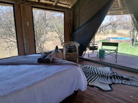 Dinokeng Game Reserve Accommodation at Cikeru Bush Camp - Zebra | Viya