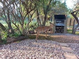 Waterberg Accommodation at  | Viya