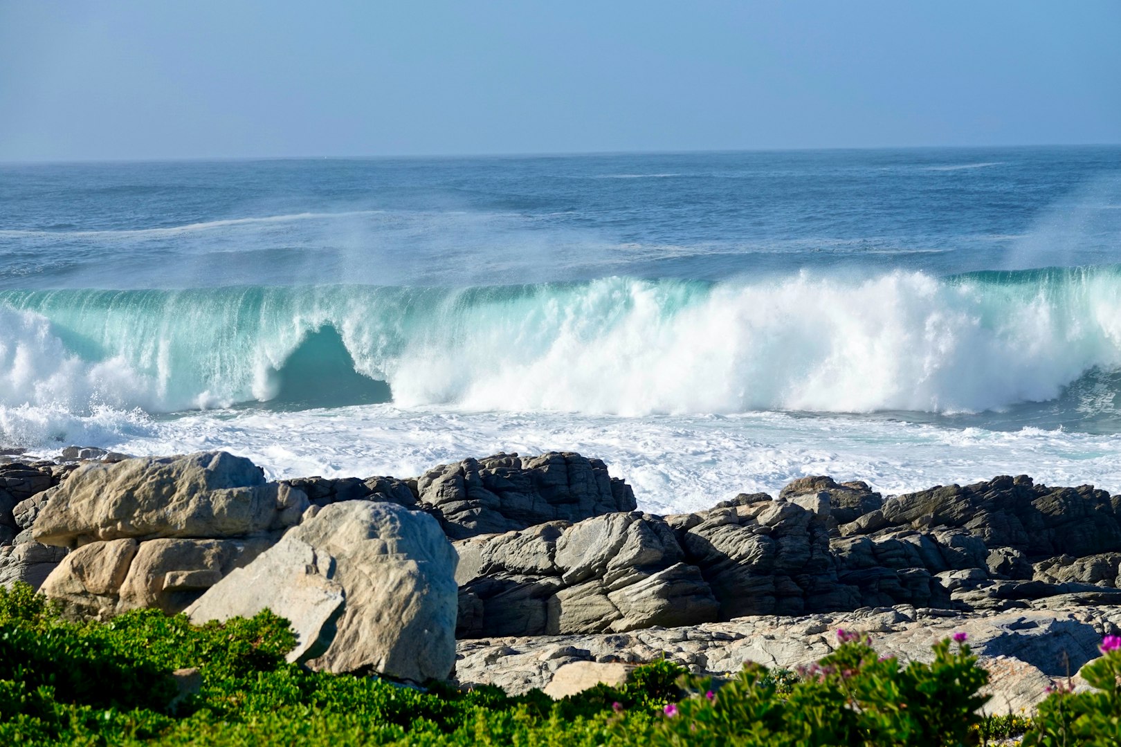 whales in waves