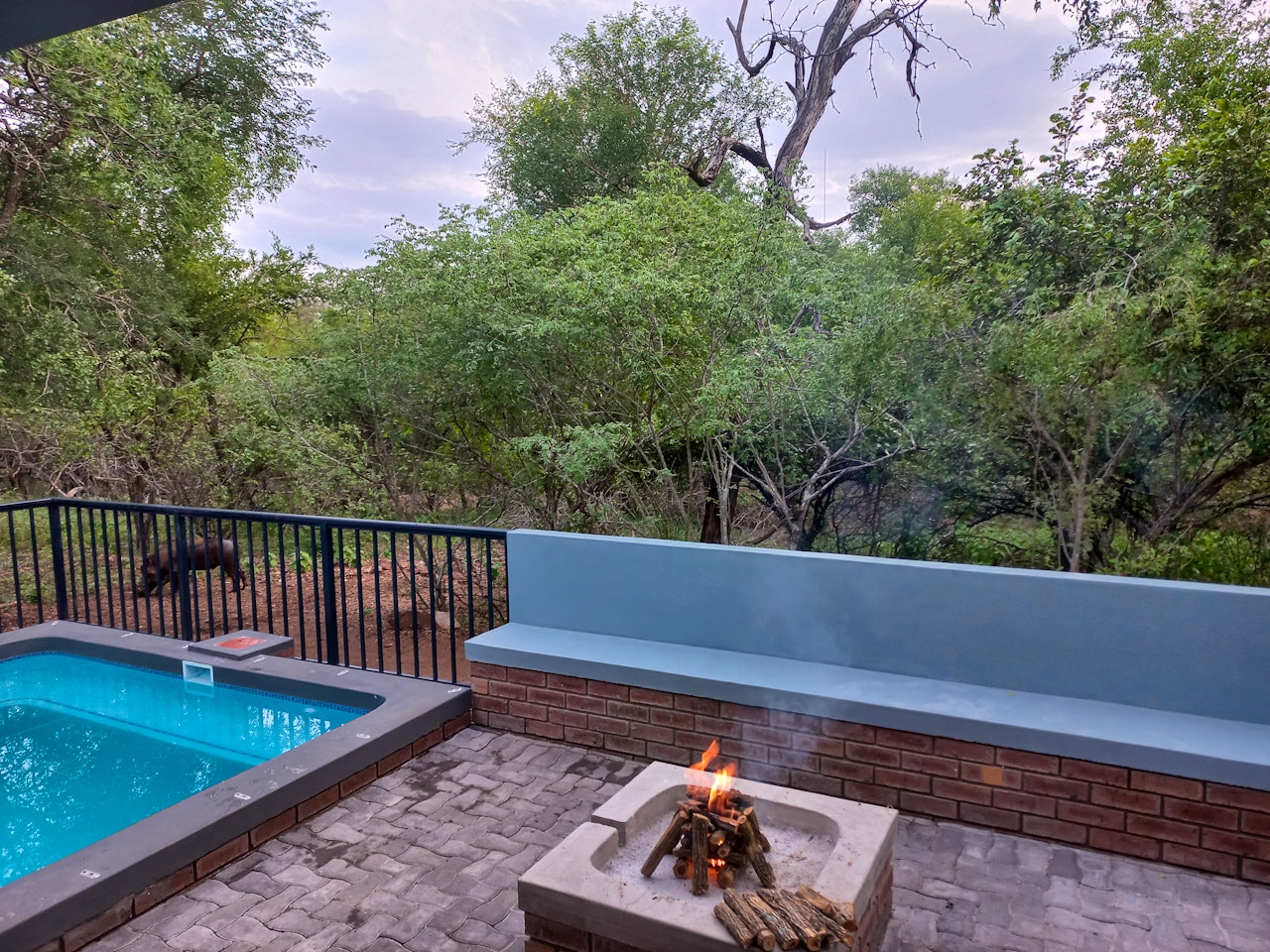 Kruger National Park South Accommodation at  | Viya