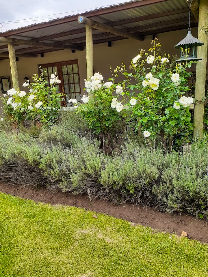 Free State Accommodation at Lavender Cottage | Viya