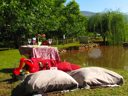 Hartbeespoort Accommodation at  | Viya