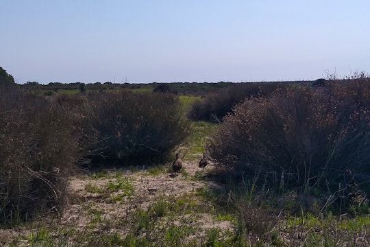 Bird's Haven Beach House