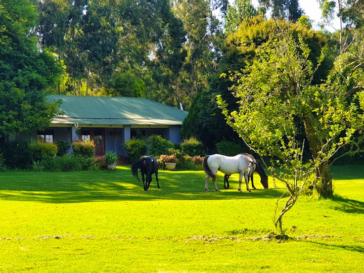 Mpumalanga Accommodation at Go Country - Homestead | Viya