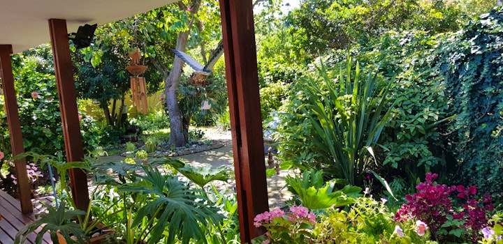 Garden Route Accommodation at Tortuga | Viya