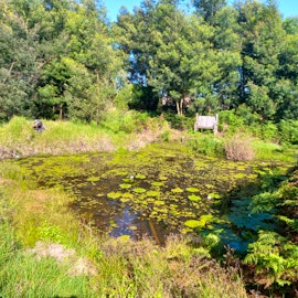 Garden Route Accommodation at Grootfontein Farm Self Catering Rustic Cottage | Viya