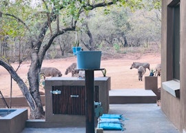 Kruger National Park South Accommodation at Vivo Per Lei | Viya