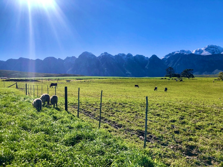 Overberg Accommodation at Kromrivier Farm Accommodation | Viya