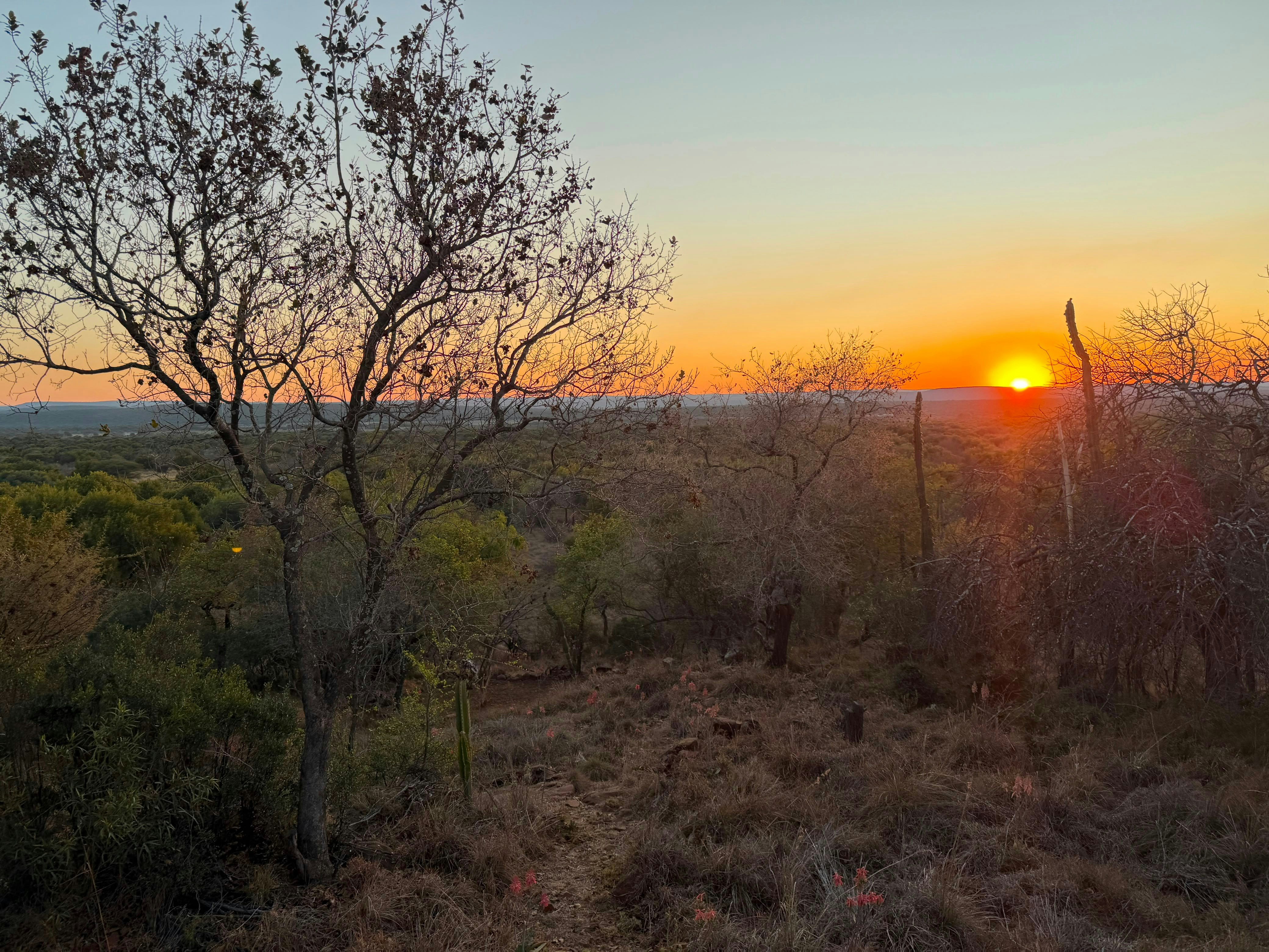 Thorn Vale Sunset image no 15 of 16