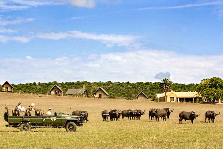 Eastern Cape Accommodation at Gorah Elephant Camp | Viya