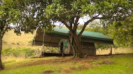 KwaZulu-Natal Accommodation at Hlomo Hlomo Game Reserve | Viya