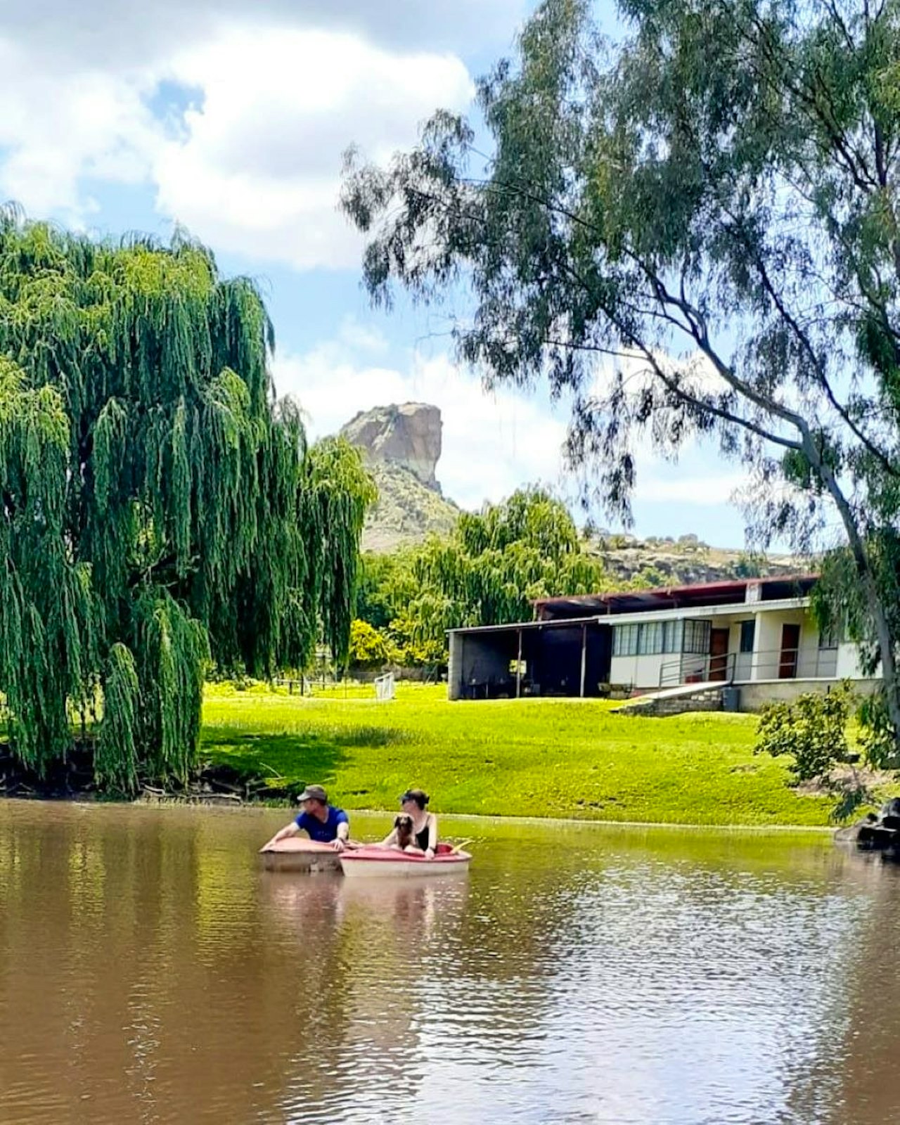 Clarens Accommodation at  | Viya