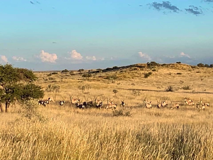 Kalahari Accommodation at Drumsheugh Farmstead and Cattle Farm | Viya