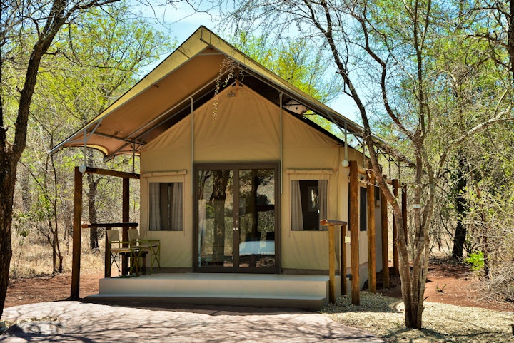 Kruger National Park South Accommodation at Jackalberry Ridge - Dream Resorts | Viya