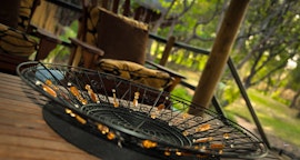 Lowveld Accommodation at  | Viya