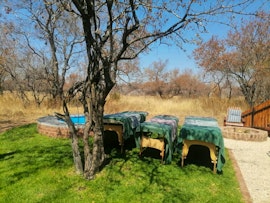 Dinokeng Game Reserve Accommodation at Cikeru Bush Camp - Zebra | Viya