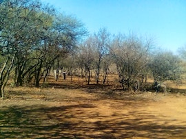 Dinokeng Game Reserve Accommodation at  | Viya