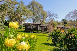 Garden Route Accommodation at  | Viya