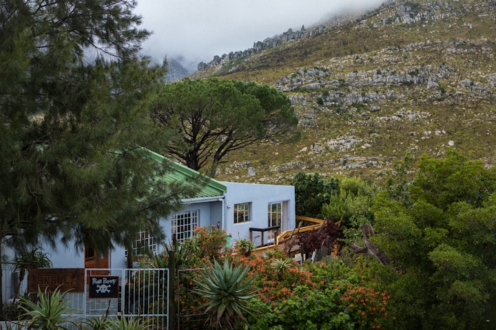 Western Cape Accommodation at McBains | Viya