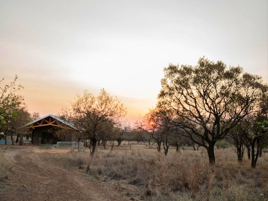 Dinokeng Game Reserve Accommodation at  | Viya