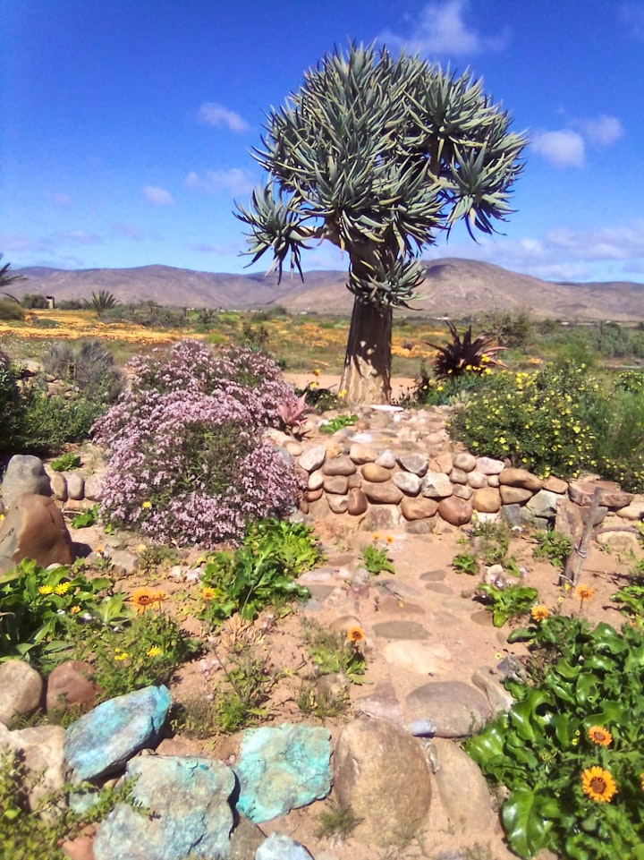Northern Cape Accommodation at Asbos Skerm Guesthouse | Viya