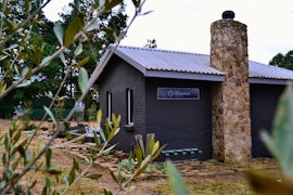 Panorama Route Accommodation at Salt on Dullstroom | Viya