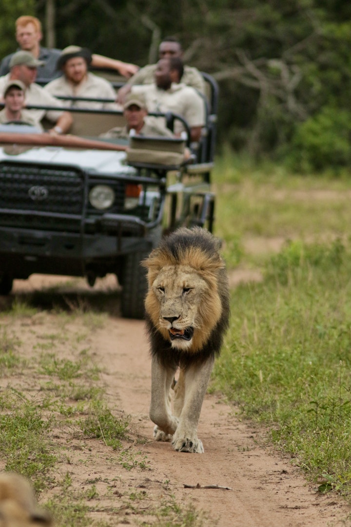 KwaZulu-Natal Accommodation at Makhasa Private Game Lodge | Viya