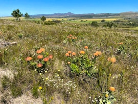 Overberg Accommodation at Magdala Guest Farm | Viya