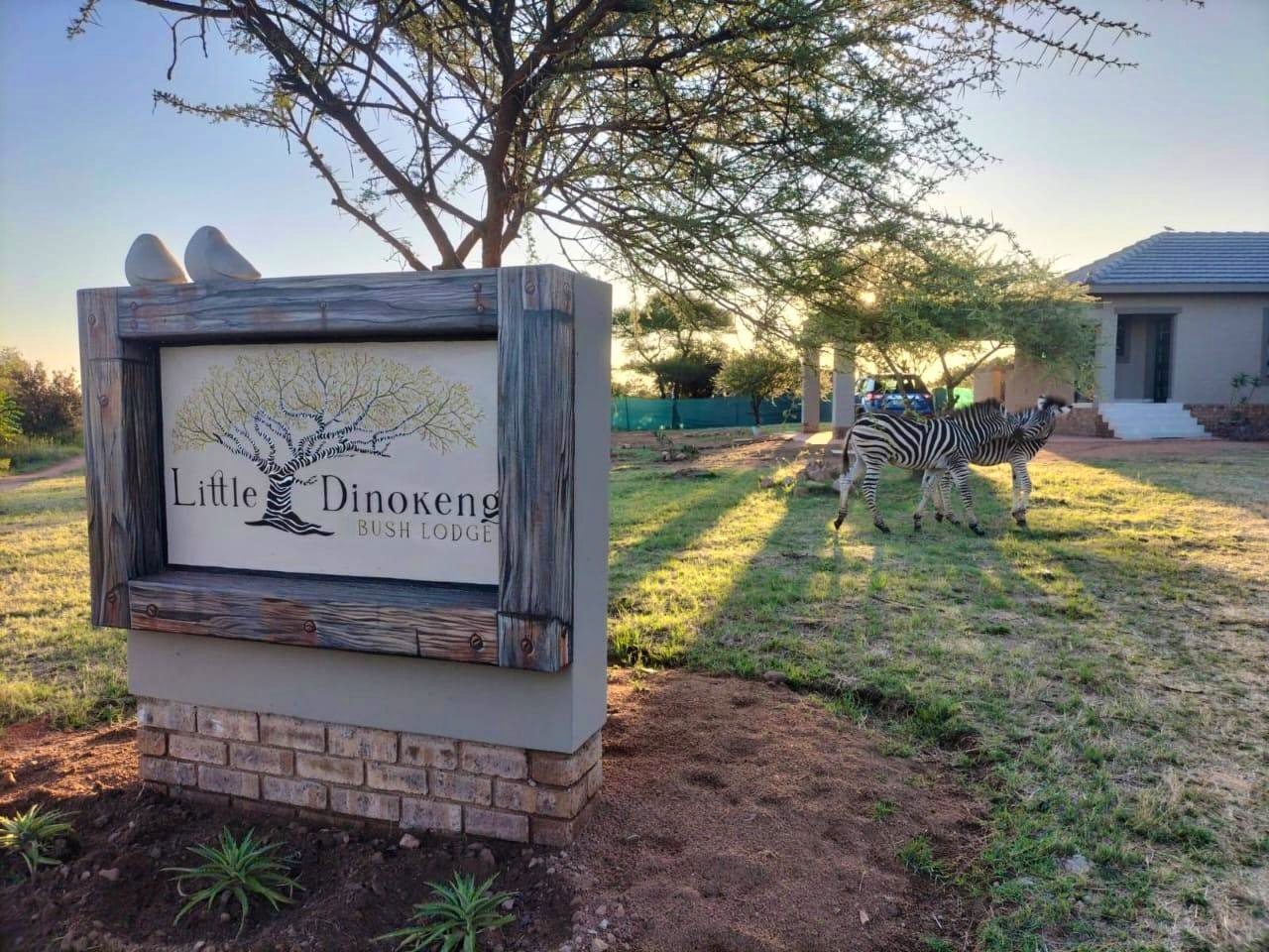 Dinokeng Game Reserve Accommodation at  | Viya