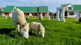 Garden Route Accommodation at TNiqua Stable Inn | Viya