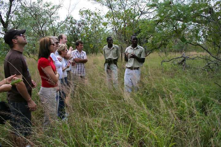 Limpopo Accommodation at Thornhill Safari Lodge | Viya