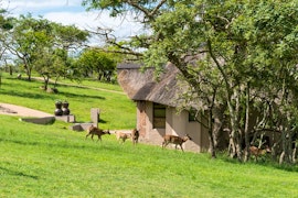 Mpumalanga Accommodation at Muluwa Lodge | Viya