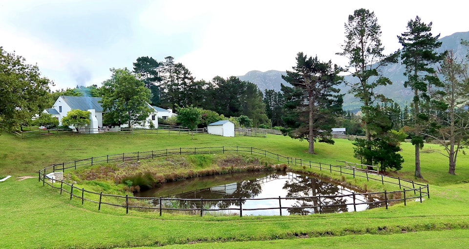 Hermanus Accommodation at  | Viya