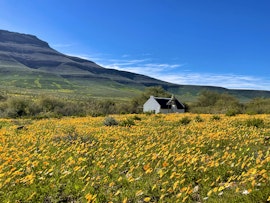 Western Cape Accommodation at Enjo Nature Farm | Viya