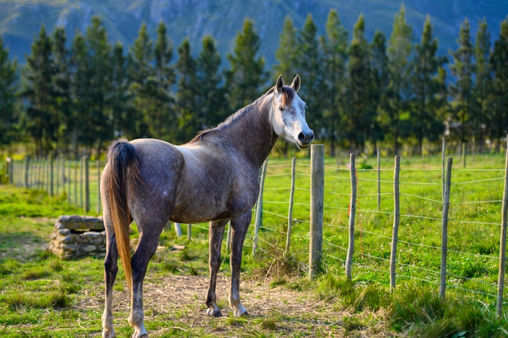 Overberg Accommodation at Hermitage Vista | Viya