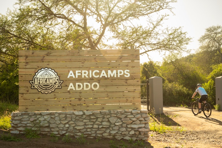 Eastern Cape Accommodation at AfriCamps Addo | Viya