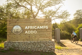 Eastern Cape Accommodation at AfriCamps Addo | Viya