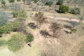 Dinokeng Game Reserve Accommodation at  | Viya