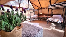 Mpumalanga Accommodation at  | Viya