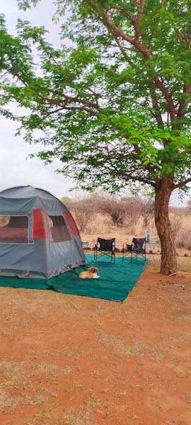 Dinokeng Game Reserve Accommodation at  | Viya