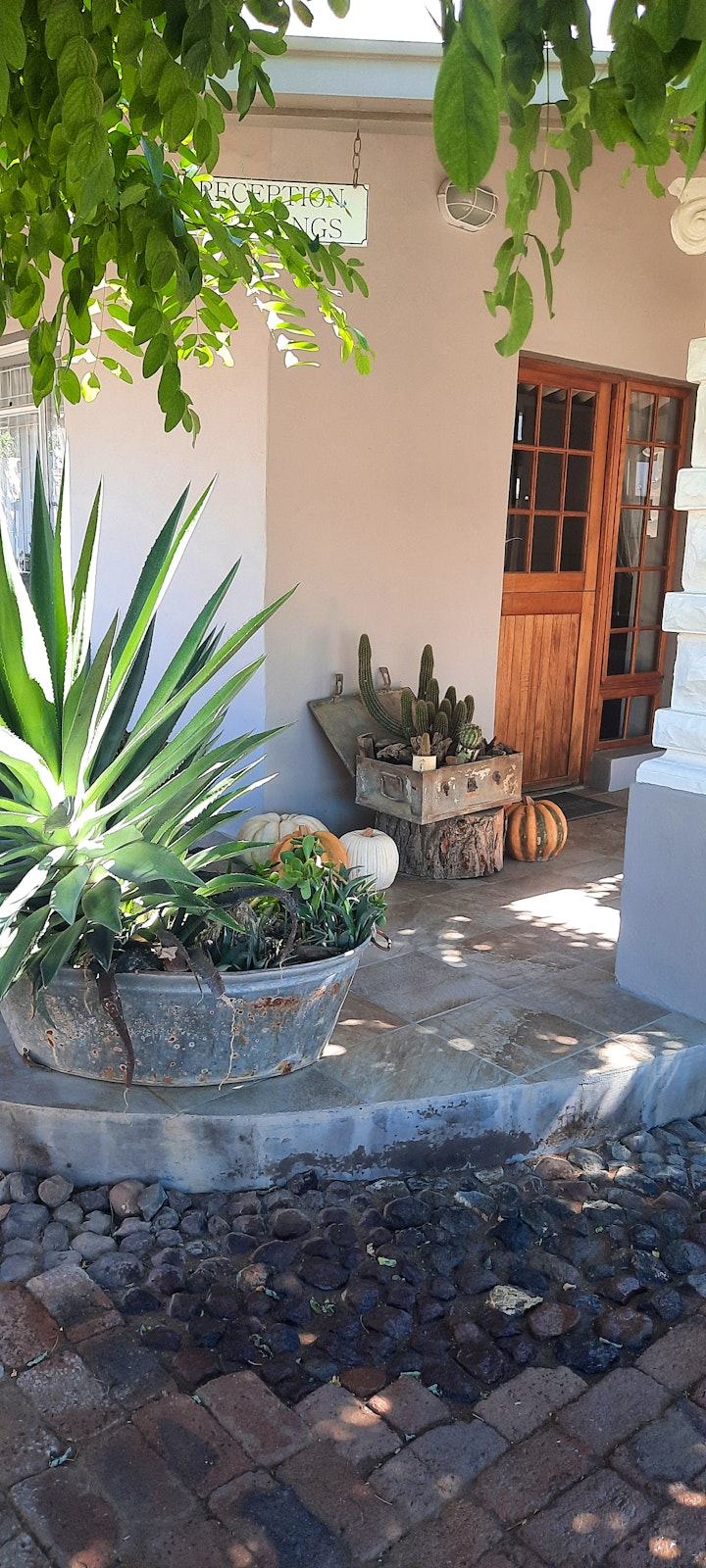 Karoo Accommodation at Elsa's @ 27 | Viya