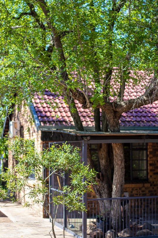 Kruger National Park South Accommodation at  | Viya