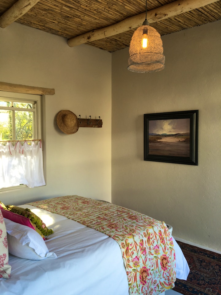 Western Cape Accommodation at The Olive House | Viya