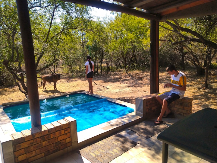 Kruger National Park South Accommodation at Villabikirus | Viya