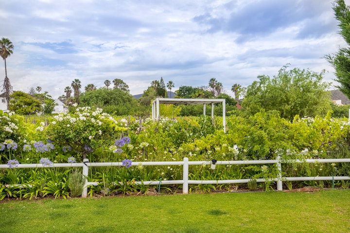 Cape Winelands Accommodation at The Vineyard Country House | Viya